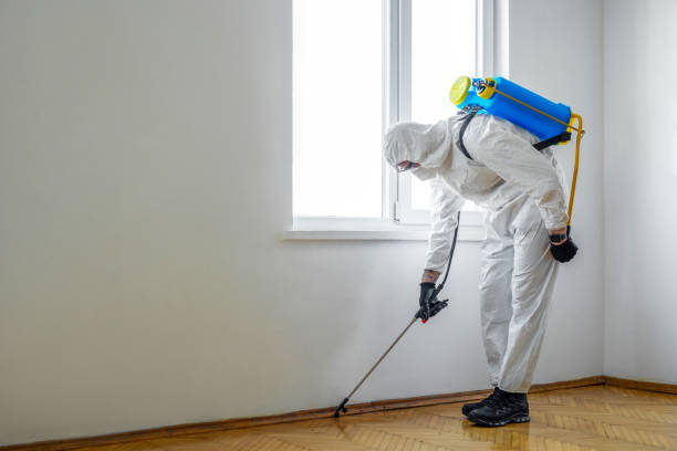 Best Pest Prevention Services  in Bryan, TX